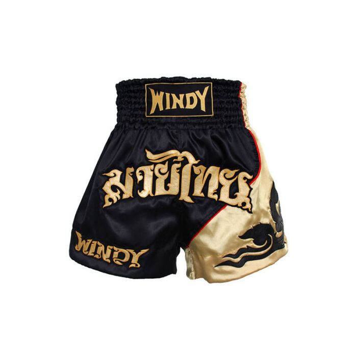 Windy - Black Gold Satin kickboks broekje