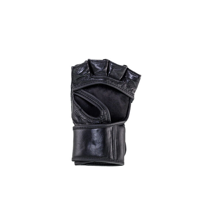 Windy - Proline MMA handschoenen - Image 2